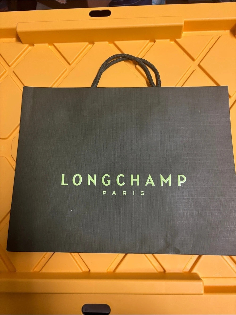 Longchamp Green Gift bag